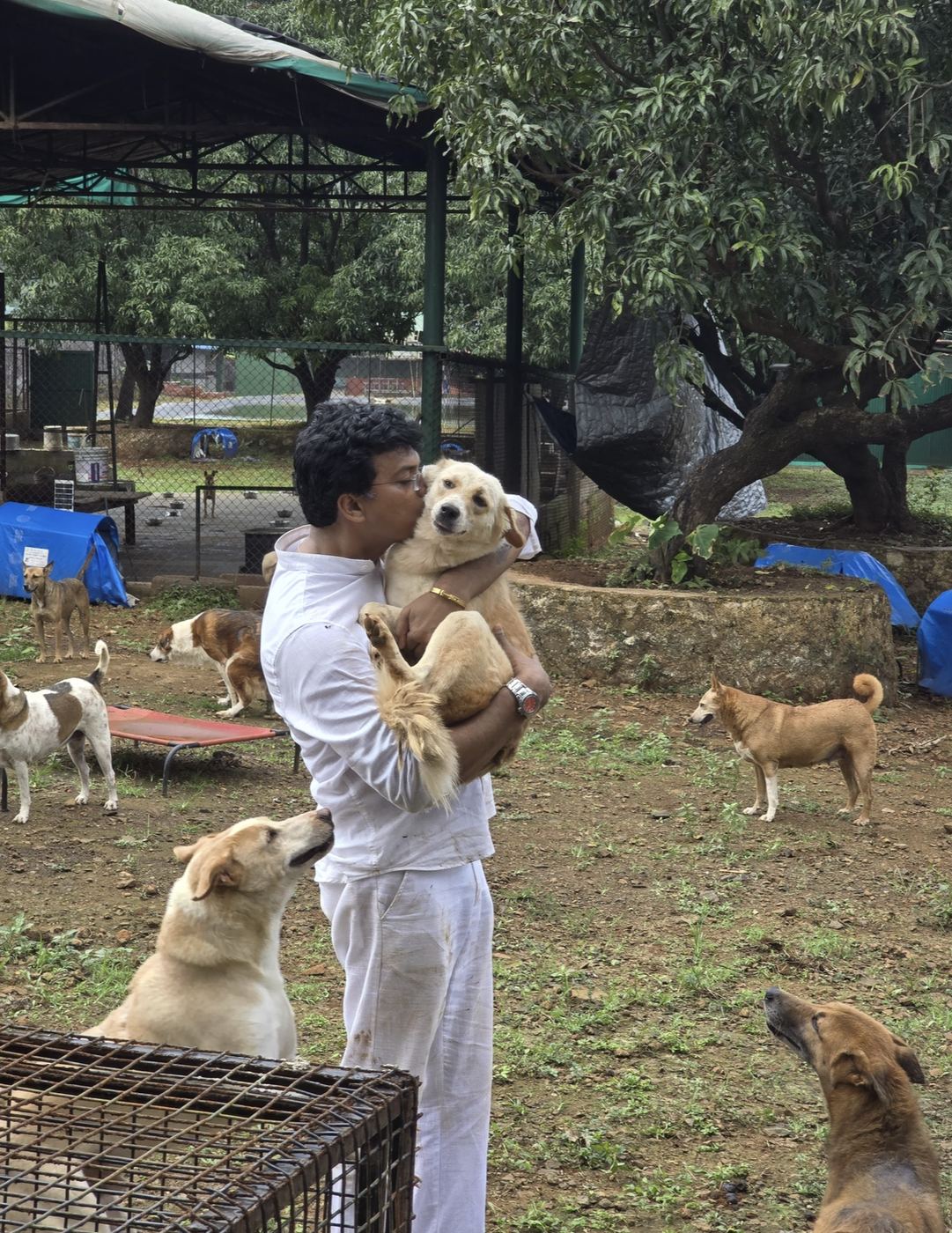 AMTM founder embracing a rescued dog at the sanctuary, surrounded by rehabilitated street dogs